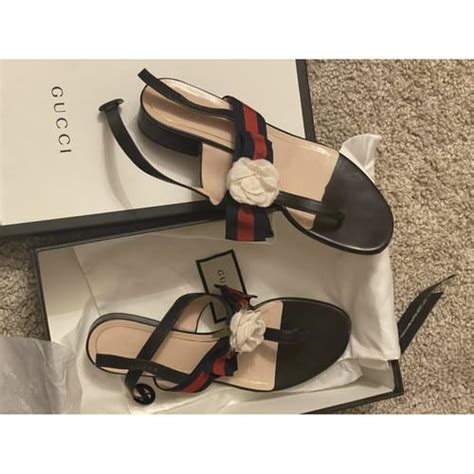 gucci hannelore|Gucci Hannelore .